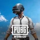 PUBG MOBILE نسخة الشدات